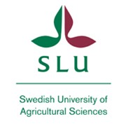 SLU